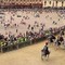 Palio di Siena, il Nicchio torna a vincere dopo 28 anni: Tittia firma il cappotto personale (con brivido finale) Palio di Siena, il Nicchio torna a vincere dopo 28 anni: Tittia firma il cappotto personale (con brivido finale)