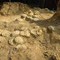 In Francia trovate oltre 100 uova di dinosauro, hanno 72 milioni di anni In Francia trovate oltre 100 uova di dinosauro, hanno 72 milioni di anni