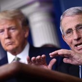 Trump: "Favorevole a eventuale incriminazione di Fauci" Trump: "Favorevole a eventuale incriminazione di Fauci"