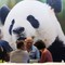 Cina, in aumento dell’11,3% i ricavi dell’industria pubblicitaria