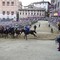 Palio di Siena, Tittia fa 13: ecco chi è il fantino che ha fatto trionfare il Nicchio