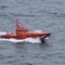 Migranti, oltre 80 morti su barca al largo delle Canarie Migranti, oltre 80 morti su barca al largo delle Canarie