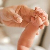 Bimba di 10 mesi muore in auto negli Stati Uniti: dimenticata per 8 ore dalla nonna che era andata a lavoro