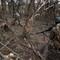 Ucraina: mobilitazione, raid e ruolo della Bielorussia. Mosca prepara nuova escalation?