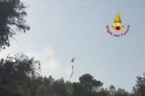 Incendi sul Gargano, fiamme domate. Sindaco di Peschici: "Turisti rientrati nelle strutture" Incendi sul Gargano, fiamme domate. Sindaco di Peschici: "Turisti rientrati nelle strutture"