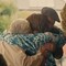 Lo spot contro lo stupro 'attacca' i nonni, bufera in Irlanda