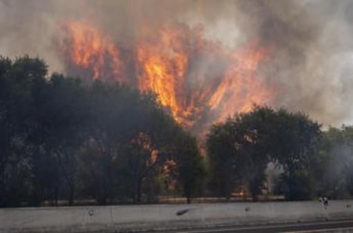 Francia e Spagna in ginocchio per gli incendi, Macron schiera l'esercito Francia e Spagna in ginocchio per gli incendi, Macron schiera l'esercito