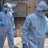 Virus Nipah in India, è allarme: come si trasmette e cura