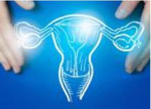 Tumori dell'endometrio, Picardo (Acto Piemonte): "Con dostarlimab trattamenti più efficaci per più donne" Tumori dell'endometrio, Picardo (Acto Piemonte): "Con dostarlimab trattamenti più efficaci per più donne"