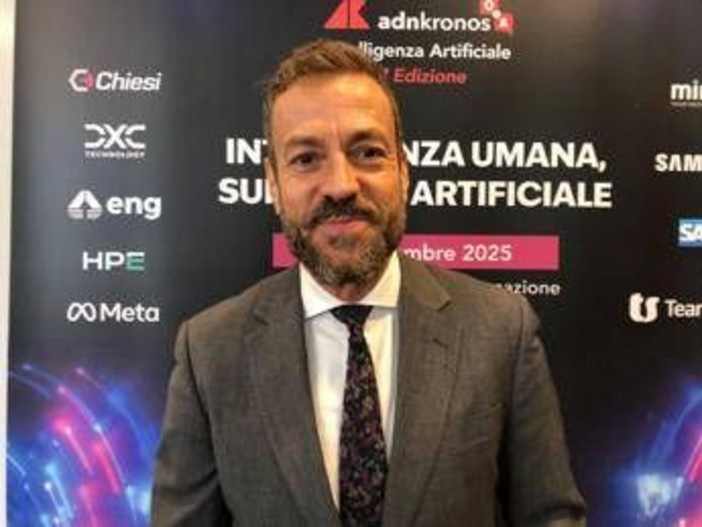 Ai, Da Rin (Infocamere): "Startup che vi operano appartengono a settori software e consulenza It" Ai, Da Rin (Infocamere): "Startup che vi operano appartengono a settori software e consulenza It"