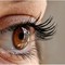 Glaucoma pseudoesfoliativo, oculista: "Con chirurgia si può salvare la vista" Glaucoma pseudoesfoliativo, oculista: "Con chirurgia si può salvare la vista"