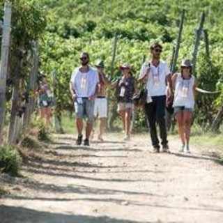 Turismo, UniCredit-Nomisma Wine Monitor: da quello del vino 3 miliardi di valore per cantine