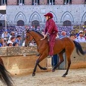 Palio Siena, la Contrada della Torre vince la quarta prova