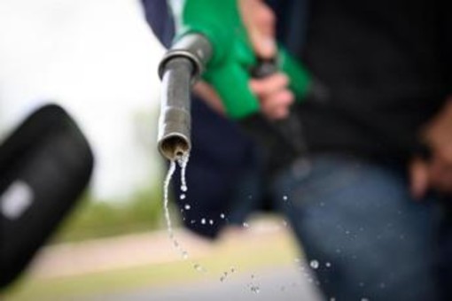Carburanti, botta e risposta nel governo. Lega contraria a nuove tasse, Forza Italia assicura: "Con noi non ci saranno" Carburanti, botta e risposta nel governo. Lega contraria a nuove tasse, Forza Italia assicura: "Con noi non ci saranno"