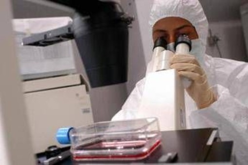 Florida, cresce l'allarme per il batterio mangiacarne: c'è una seconda vittima Florida, cresce l'allarme per il batterio mangiacarne: c'è una seconda vittima