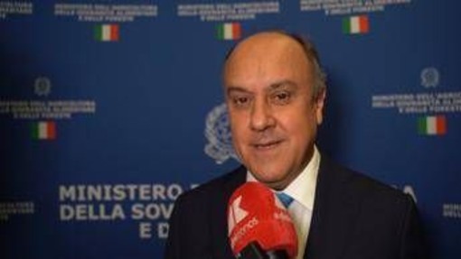 Made in Italy, Federdistribuzione Horeca: "Grande cambiamento distribuzione moderna in ultimi anni"