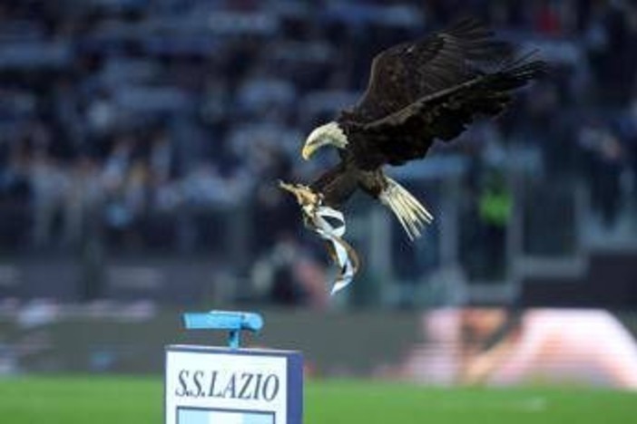 Lazio, debutta all'Olimpico la nuova aquila: primo volo per Flaminia Lazio, debutta all'Olimpico la nuova aquila: primo volo per Flaminia