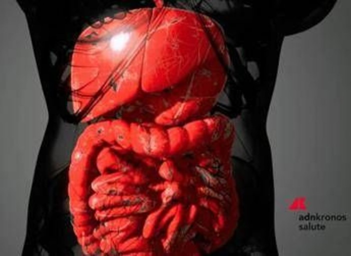 Farmaci, Aifa approva mirikizumab anche nel trattamento della malattia di Crohn Farmaci, Aifa approva mirikizumab anche nel trattamento della malattia di Crohn