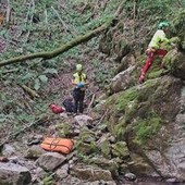 Tenta di salvare 13enne precipitato in una scarpata nel Bosco del Corniglio: scivola e muore sul colpo Tenta di salvare 13enne precipitato in una scarpata nel Bosco del Corniglio: scivola e muore sul colpo