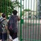 Aggressioni a scuola, non solo la prof accoltellata a Roma: docenti nel mirino, molti casi analoghi in questi anni
