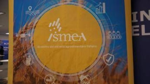 Vinitaly, vino italiano leader: focus su mercati esteri e nuovo bando OCM Promozione Vinitaly, vino italiano leader: focus su mercati esteri e nuovo bando OCM Promozione