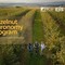 Sostenibilità, al via l’Hazelnut Agronomy Program: scuola tecnica dedicata al nocciolo