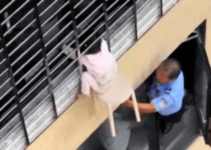 Bimba di 3 anni si sporge dalla finestra al 12esimo piano e resta sospesa nel vuoto: il miracoloso salvataggio - VIDEO