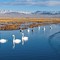 Cina, un piano per rendere gli ecosistemi più resilienti entro il 2030 Cina, un piano per rendere gli ecosistemi più resilienti entro il 2030