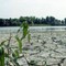 Agosto mese più caldo mai registrato, estate più rovente di sempre per l'Europa occidentale