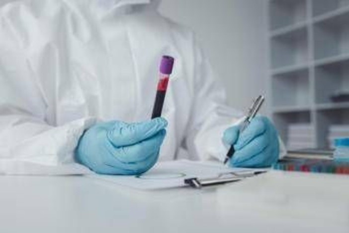 In Francia primo caso umano di virus Shamonda, il paziente è morto: alert Ecdc In Francia primo caso umano di virus Shamonda, il paziente è morto: alert Ecdc