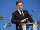 Ucraina, Rutte: &quot;Metà alleati Nato ha firmato per armi Usa&quot;