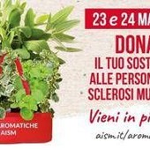 Settimana nazionale della sclerosi multipla, tornano le erbe aromatiche Aism in 500 piazze Settimana nazionale della sclerosi multipla, tornano le erbe aromatiche Aism in 500 piazze