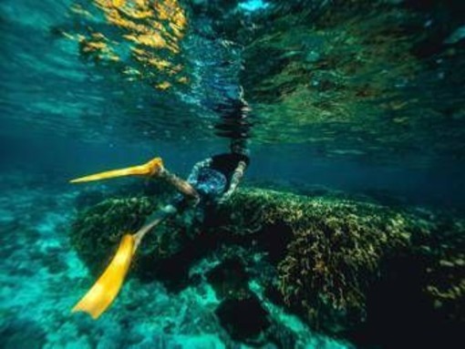 Italiani morti alle Maldive durante immersione, lo pneumologo: "Con concentrazioni elevate l’ossigeno diventa tossico"
