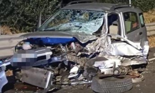 Scontro tra auto, muore 22enne: tragedia nella notte nel Catanzarese Scontro tra auto, muore 22enne: tragedia nella notte nel Catanzarese