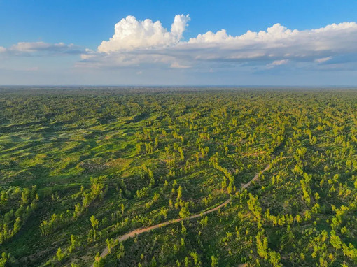 Dal deserto cinese di Mu Us al mondo, la storia della “guerriera della sabbia”