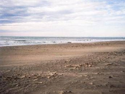 Spiagge a rischio, 1 su 5 può sparire entro il 2050: dove scatta l'allarme Spiagge a rischio, 1 su 5 può sparire entro il 2050: dove scatta l'allarme