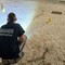 Omicidio di Trani, confermato il fermo per un 17enne Omicidio di Trani, confermato il fermo per un 17enne