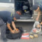 Porto di Civitavecchia, maxi sequestro di tabacco proveniente dall’Algeria Porto di Civitavecchia, maxi sequestro di tabacco proveniente dall’Algeria