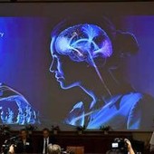 Un’alga e una luce blu: così è nata la scoperta che ha vinto il Nobel per la Medicina 2026 Un’alga e una luce blu: così è nata la scoperta che ha vinto il Nobel per la Medicina 2026