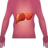 Malattie autoimmuni del fegato, nuova strategia con nanovettori in studio italiano