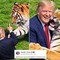 Uomo sbranato da una tigre, Trump posta il video: "Non si scherza con la natura". Poi pubblica la parodia con IA