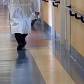 Reintegro sanitari radiati, Ordini infermieri: "Danneggia cittadini e diritto alla salute" Reintegro sanitari radiati, Ordini infermieri: "Danneggia cittadini e diritto alla salute"