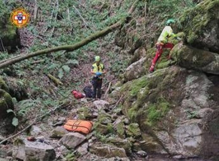 Tenta di salvare 13enne precipitato in una scarpata nel Bosco del Corniglio: scivola e muore sul colpo Tenta di salvare 13enne precipitato in una scarpata nel Bosco del Corniglio: scivola e muore sul colpo