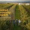 Al via l’Hazelnut Agronomy Program promosso da Ferrero, Eiis e Conaf