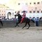 Palio Siena, la Contrada della Giraffa vince la terza prova