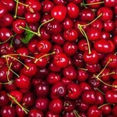 La ciliegia e le qualità 'nascoste', Calabrese: "Anche il gambo fa bene" La ciliegia e le qualità 'nascoste', Calabrese: "Anche il gambo fa bene"