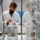 Cancro polmone, ok Ue a lurbinectedina più atezolizumab in prima linea