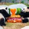 L’Ocean Park di Hong Kong celebra i 50 anni con nuove strutture e iniziative L’Ocean Park di Hong Kong celebra i 50 anni con nuove strutture e iniziative