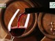 Vino falsamente certificato Dop e Igp, scoperta frode per 4 milioni