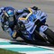 MotoGp, oggi gara sprint Gp Malesia - Diretta MotoGp, oggi gara sprint Gp Malesia - Diretta